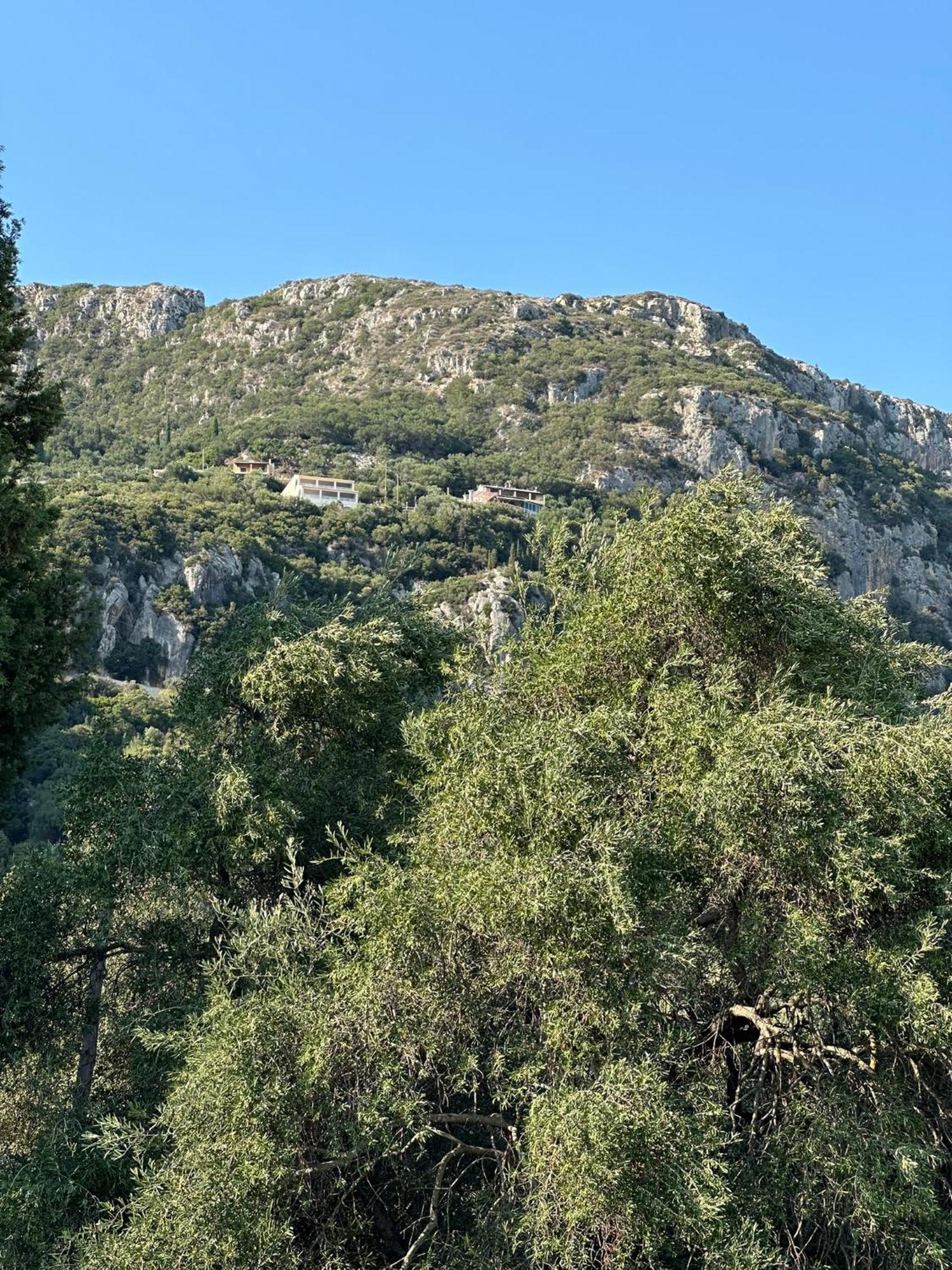 Aristos Complex -Studios For 2 Paleokastritsa Bagian luar foto